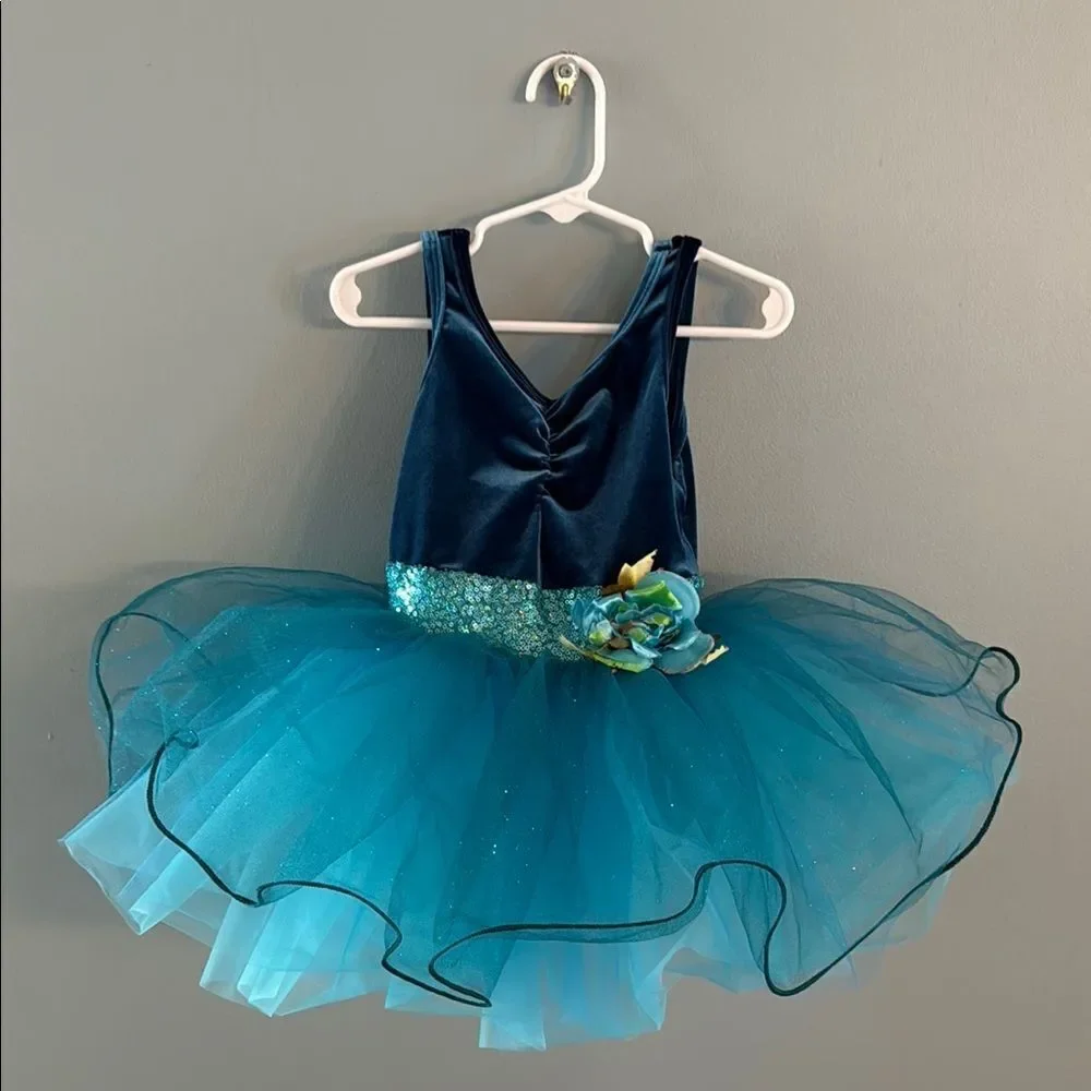 Girl’s Small blue Ballet Tutu Dress Dance Fairy Princess dress ~ Dress Up